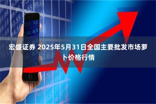 宏盛证券 2025年5月31日全国主要批发市场萝卜价格行情
