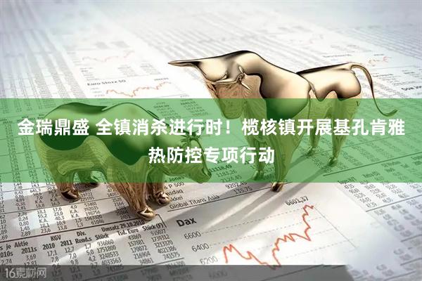 金瑞鼎盛 全镇消杀进行时！榄核镇开展基孔肯雅热防控专项行动