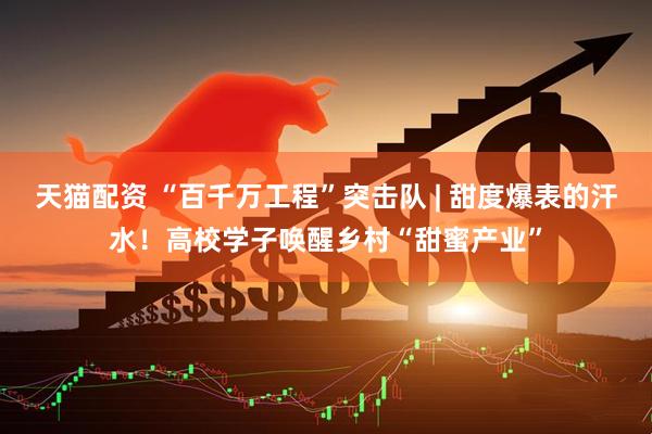 天猫配资 “百千万工程”突击队 | 甜度爆表的汗水！高校学子唤醒乡村“甜蜜产业”