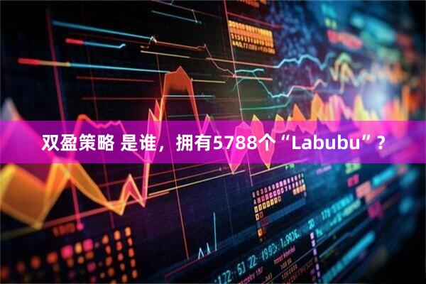双盈策略 是谁，拥有5788个“Labubu”？